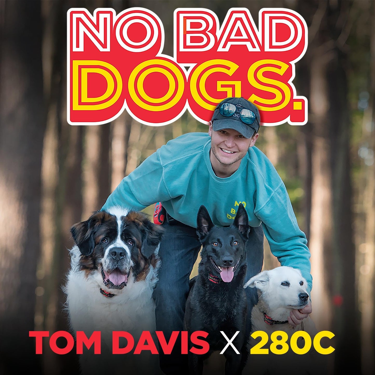 Collier électronique Dogtra Canada Tom Davis 280C avec télécommande pour chiens, rechargeable, étanche, Boost N' Bungee, portée de 0,80 km, pas de mauvais chiens