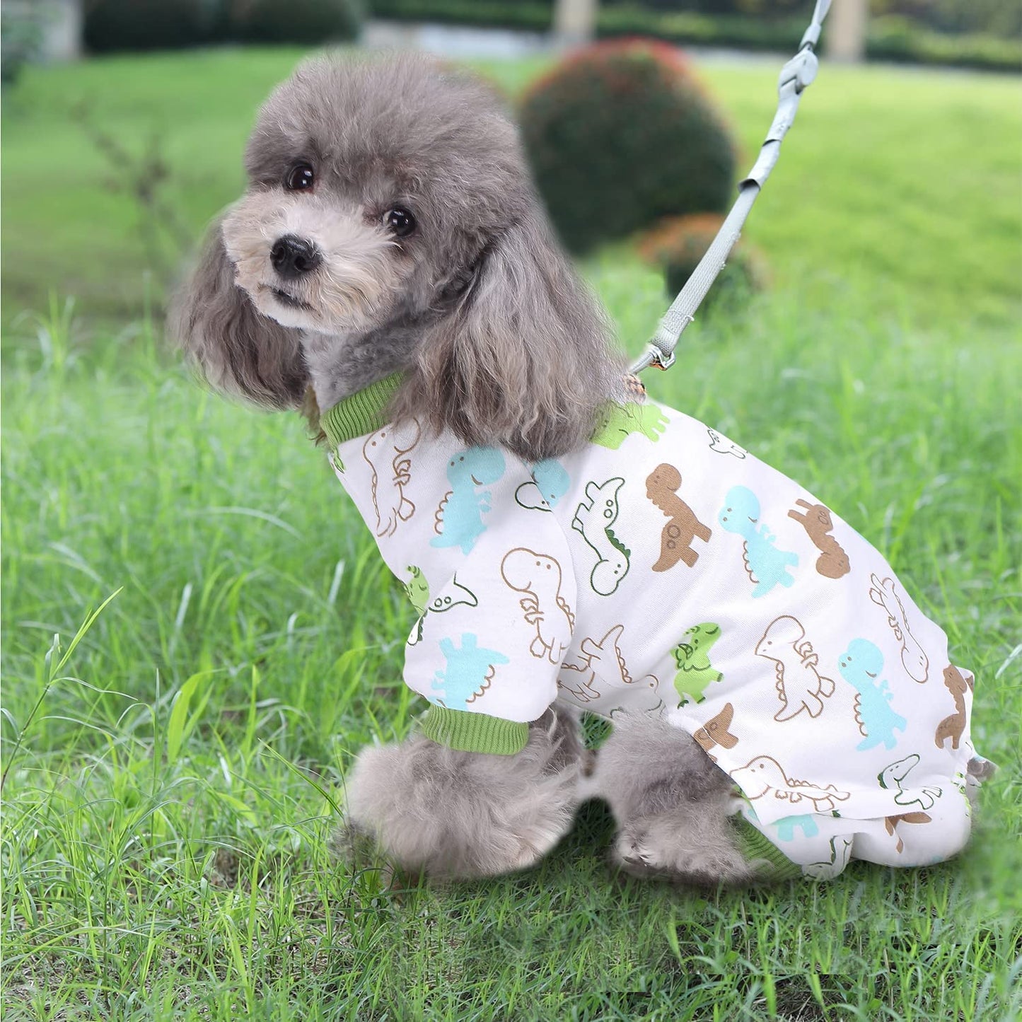 Pyjama pour chien Funny Day, combinaison pour petit chien, 100 % coton, motif dinosaure à quatre pattes (lot de 2, taille M)
