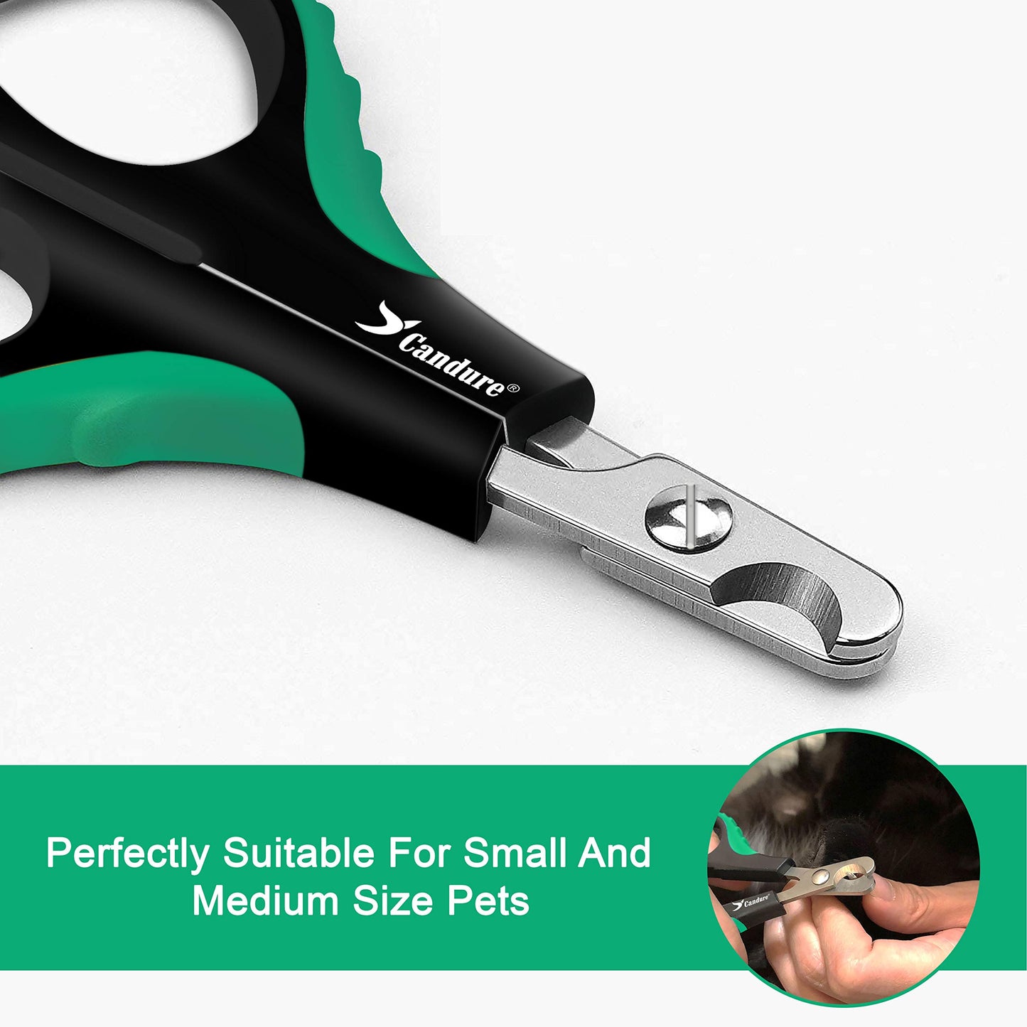 Coupe-griffes pour chat Candure en acier inoxydable pour lapins, cochons d'Inde, oiseaux, chiots, chatons et petits animaux - Coupe-griffes pour animaux de compagnie pour usage professionnel et domestique (noir)