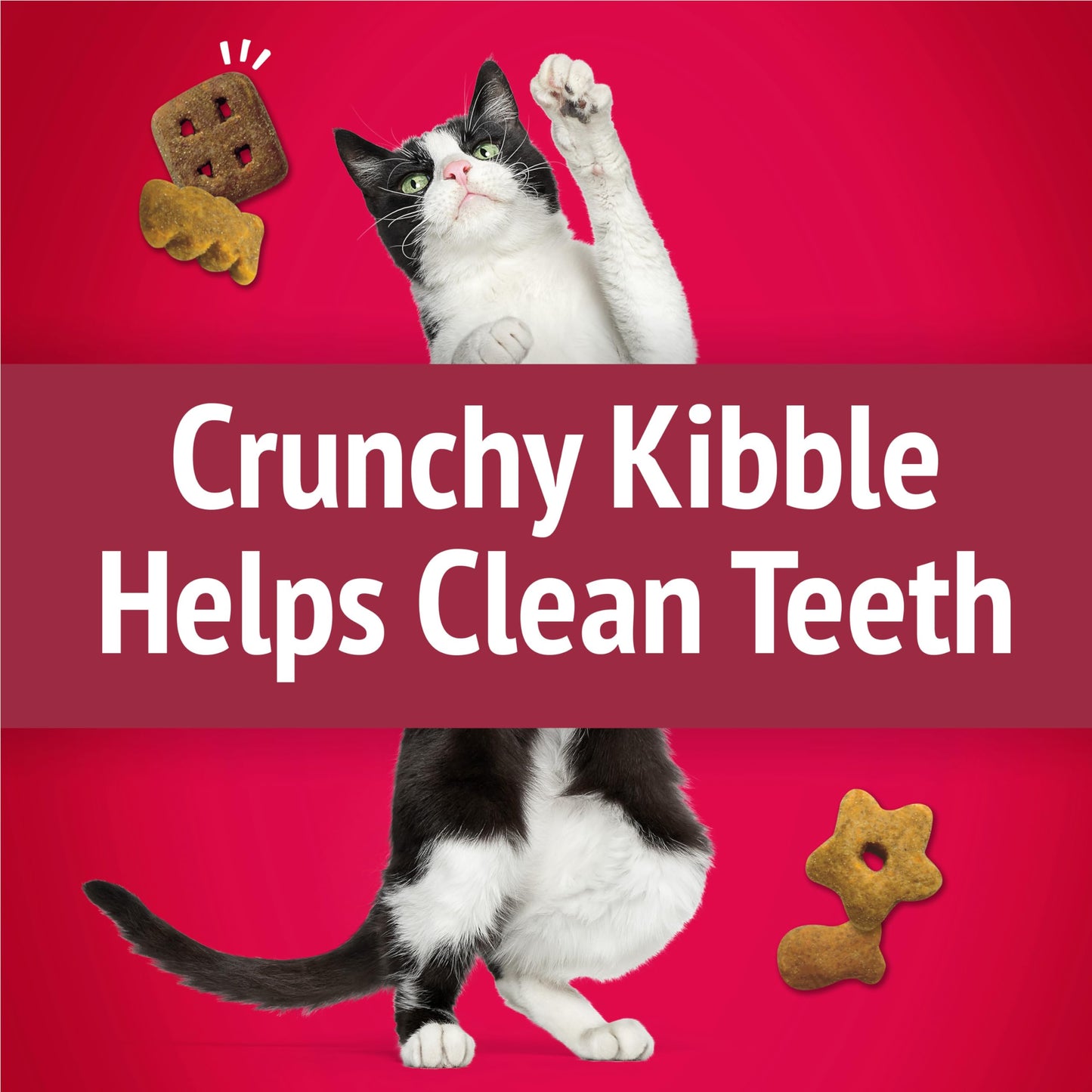 Friandises pour chats Friskies Party Mix, croustillantes et croustillantes au vrai poulet - Boîte de 454 g (1 paquet)