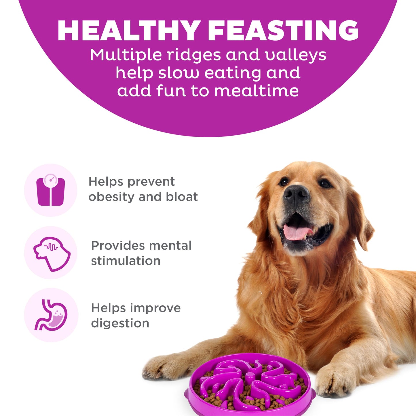 Gamelle lente Outward Hound Fun Feeder, grande gamelle pour chien, 4 tasses, violet