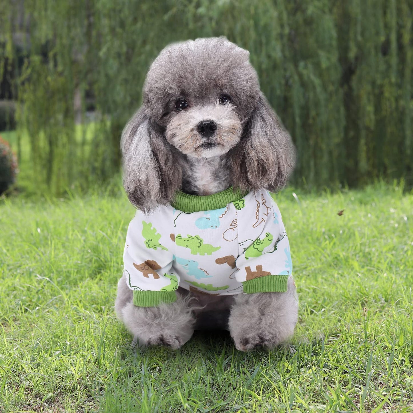 Pyjama pour chien Funny Day, combinaison pour petit chien, 100 % coton, motif dinosaure à quatre pattes (lot de 2, taille M)