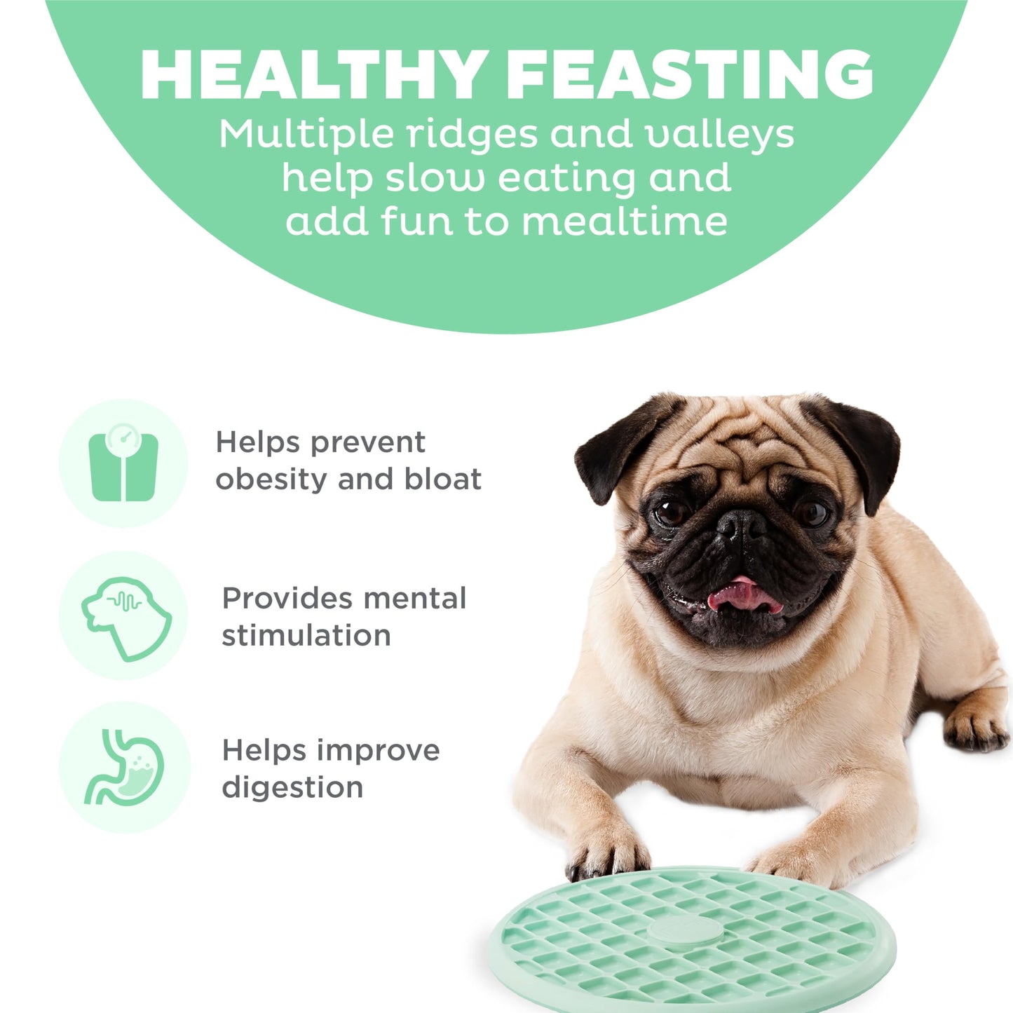 Outward Hound Fun Feeder Slo Tray Slow Feeder Dog Bowl for French Bulldogs and Other Brachycephalic or Flat-Faced Breeds, Medium, 1.5 Cups, Mint Green