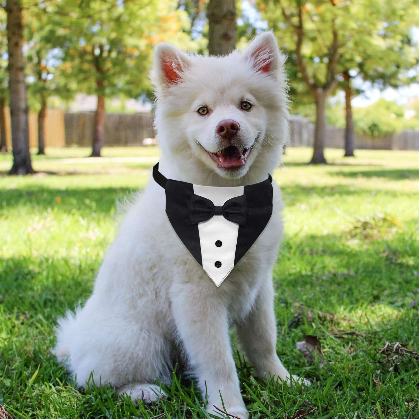 GOYOSWA Costume de smoking pour chien, collier bandana de mariage pour chien avec nœud papillon, costumes de smoking pour chien réglables, cadeaux d'anniversaire de fiançailles pour petits, moyens et grands chiens (S : tour de cou 12,5 à 21 pouces)