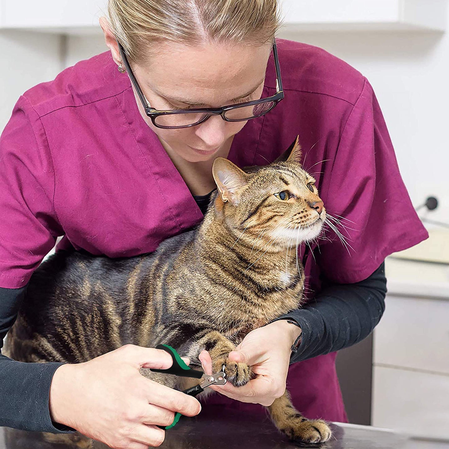 Coupe-griffes pour chat Candure en acier inoxydable pour lapins, cochons d'Inde, oiseaux, chiots, chatons et petits animaux - Coupe-griffes pour animaux de compagnie pour usage professionnel et domestique (noir)