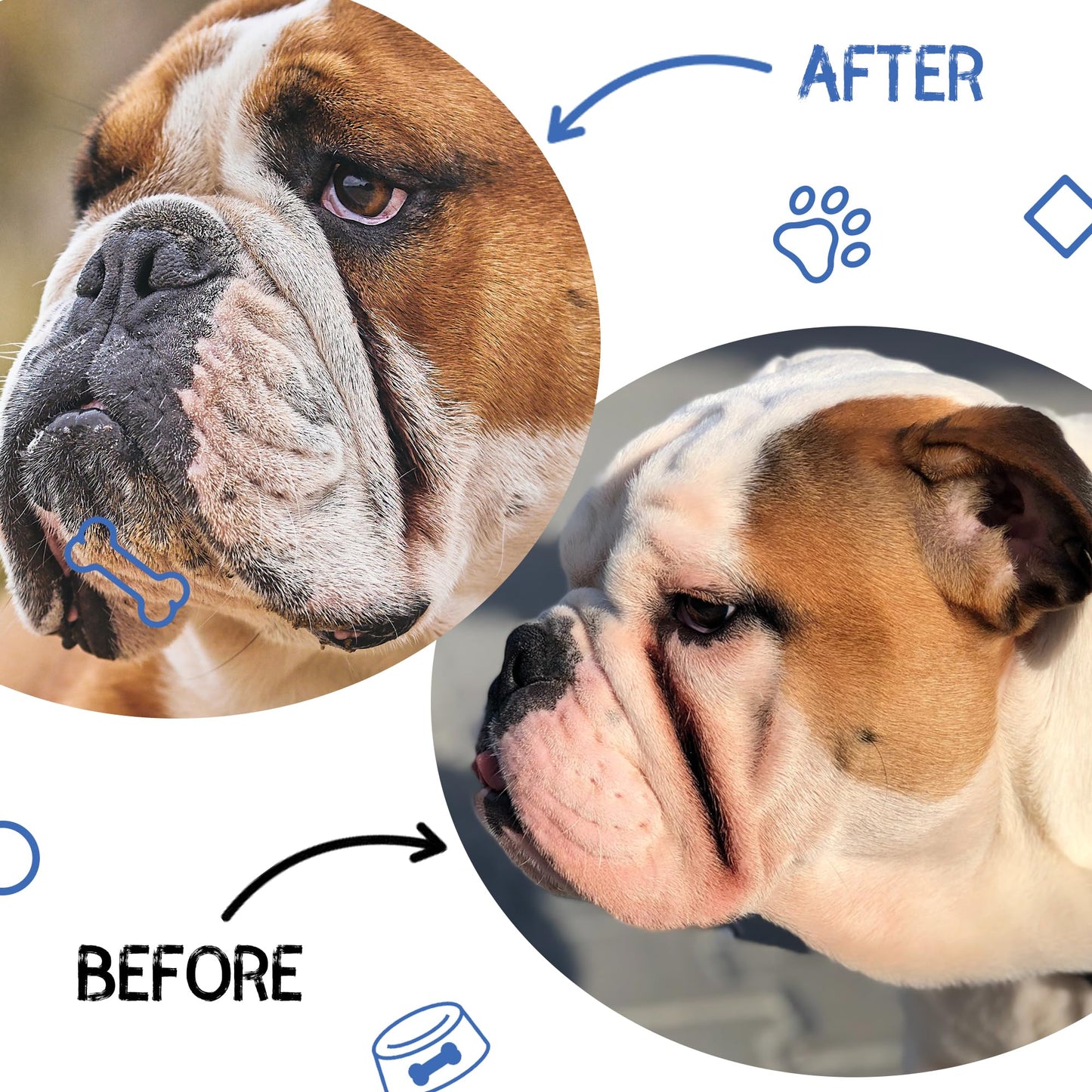 Spanielbuns Wrinkle Wipes for French Bulldog, Pugs, and More - 100ct Bio-Degradable Cleansing Wipes