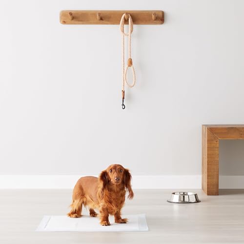 Tapis d'apprentissage de la propreté Amazon Basics pour chiens et chiots, 5 couches anti-fuites avec surface à séchage rapide, format standard (55 x 55 cm) - Lot de 100