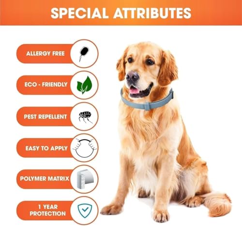 UF-PL 8 Month Dog Collar - Dog Collar for All Dog Breeds and Sizes-Adjustable,Safe,Durable & Effective Collar for Dog 25 Inches-Long Lasting,Flexible,Portable & Waterproof Collar for Dogs