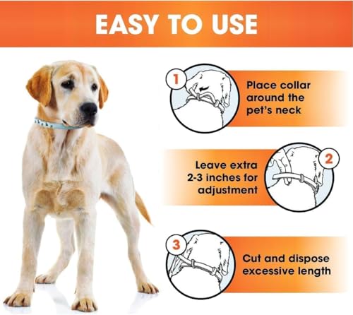 UF-PL 8 Month Dog Collar - Dog Collar for All Dog Breeds and Sizes-Adjustable,Safe,Durable & Effective Collar for Dog 25 Inches-Long Lasting,Flexible,Portable & Waterproof Collar for Dogs