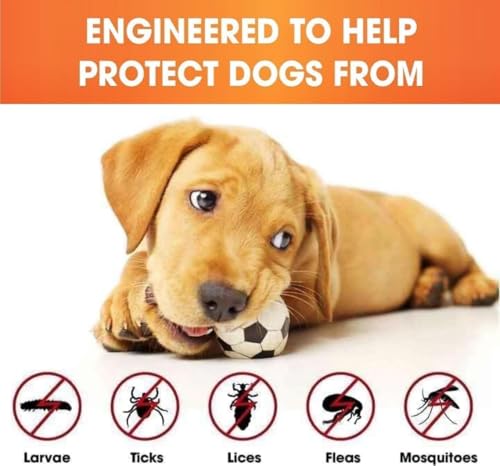 UF-PL 8 Month Dog Collar - Dog Collar for All Dog Breeds and Sizes-Adjustable,Safe,Durable & Effective Collar for Dog 25 Inches-Long Lasting,Flexible,Portable & Waterproof Collar for Dogs