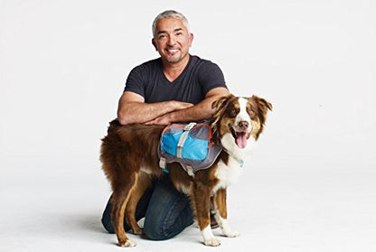 Sac à dos Cesar Millan™ - Sac à dos pour chien Dog Whisperer - Sac à dos bien rembourré pour chiens - Sac à dos de randonnée durable pour chien (moyen)