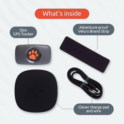 PitPat GPS Tracker for Dogs - No Subscription Fees - Suitable for All Dogs and Fits All Collars - Smart Activity Tracker, Satellite Tracking with Unlimited Range - 100% Waterproof Pet Tracker (Green)
