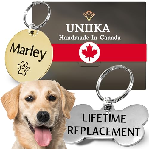 Médailles d'identification personnalisées UNIIKA pour chien et chat, gravées sur les deux côtés (petite, argentée)