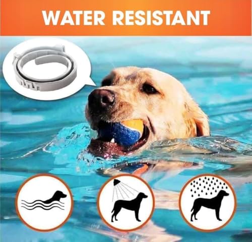 UF-PL 8 Month Dog Collar - Dog Collar for All Dog Breeds and Sizes-Adjustable,Safe,Durable & Effective Collar for Dog 25 Inches-Long Lasting,Flexible,Portable & Waterproof Collar for Dogs