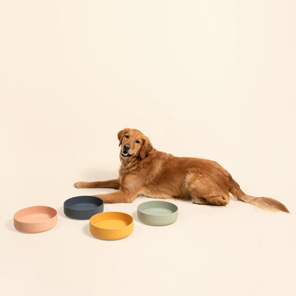 Gamelle anti-fuite pour chien - Silicone de qualité supérieure, anti-fuite, avec ventouse, anti-fuite, gamelles pour chien de taille moyenne, gamelle pour chat (gris charbon, grande gamelle)