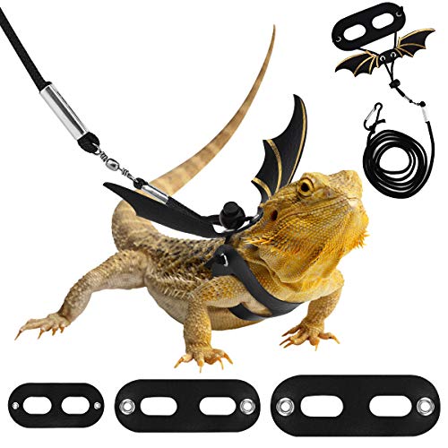 Harnais et laisse réglables Pawaboo pour dragon barbu, laisse en cuir 3 tailles pour reptiles, harnais d'extérieur avec ailes de chauve-souris pour lézards, reptiles, amphibiens, petits animaux de compagnie, petits/moyens/grands, noir et or