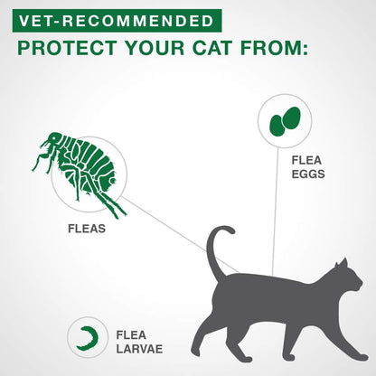 Traitement antipuces Advantage II pour petits chats pesant entre 2,3 kg et 4 kg (5 lb à 9 lb) - 2 doses