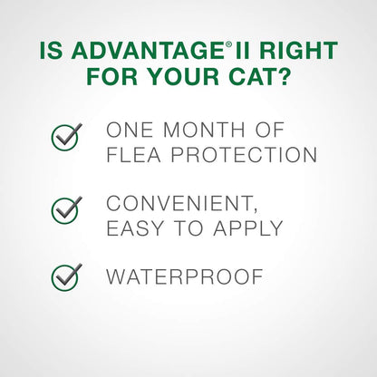 Traitement antipuces Advantage II pour petits chats pesant entre 2,3 kg et 4 kg (5 lb à 9 lb) - 2 doses