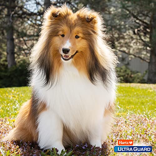 Prévention topique contre les puces et les tiques UltraGuard Pro pour chiens et chiots - Plus de 28 kg, 3 traitements mensuels