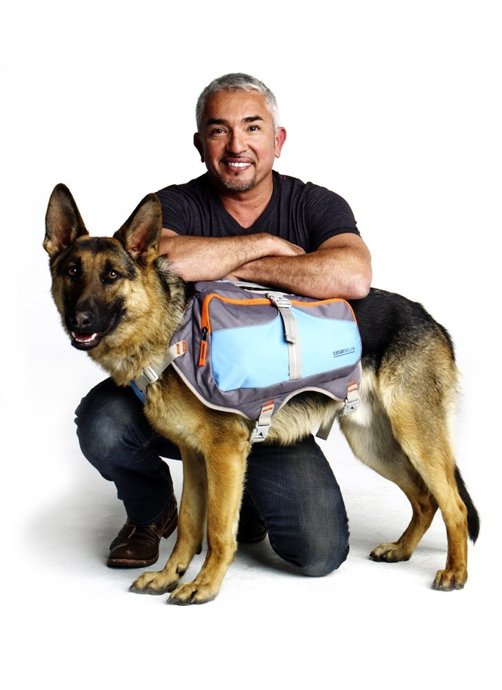 Sac à dos Cesar Millan™ - Sac à dos pour chien Dog Whisperer - Sac à dos bien rembourré pour chiens - Sac à dos de randonnée durable pour chien (moyen)