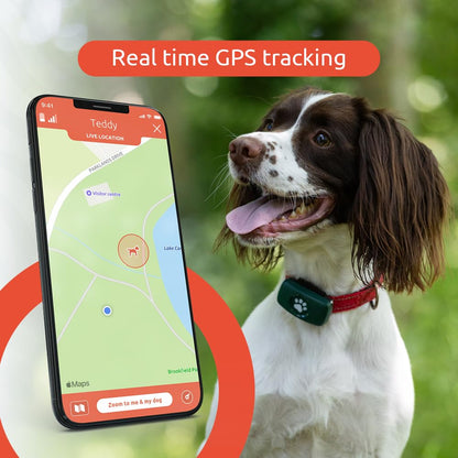 PitPat GPS Tracker for Dogs - No Subscription Fees - Suitable for All Dogs and Fits All Collars - Smart Activity Tracker, Satellite Tracking with Unlimited Range - 100% Waterproof Pet Tracker (Green)
