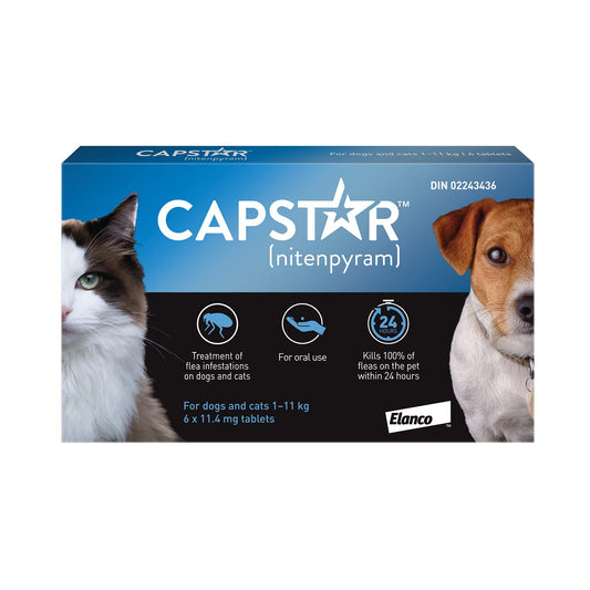 Traitement oral antipuces Capstar pour petits chiens et chats de 1 à 11 kg - paquet de 6