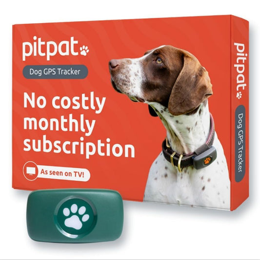 PitPat GPS Tracker pour chiens - Sans abonnement - Convient à tous les chiens et à tous les colliers - Tracker d'activité intelligent, suivi par satellite avec portée illimitée - Tracker pour animaux de compagnie 100 % étanche (vert)