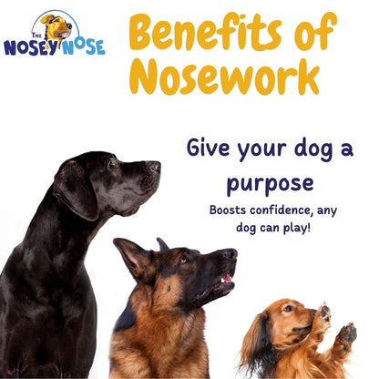 The Nosey Nose Dog Scent Training Kit - Clove Scent Zipper Pouch with Bag & Brain Puzzle Games - Nosework Scentwork Games for All Ages Dog