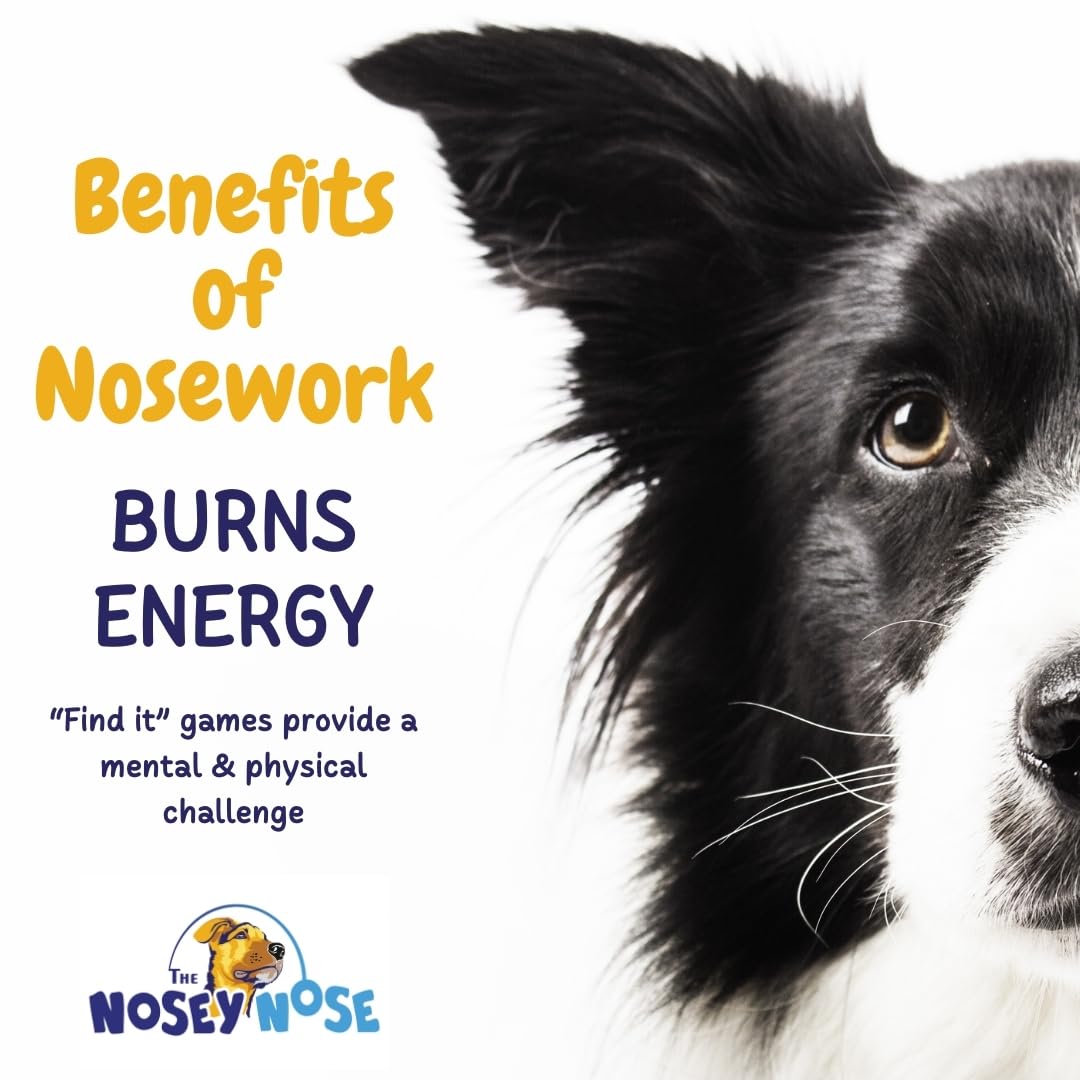 The Nosey Nose Dog Scent Training Kit - Clove Scent Zipper Pouch with Bag & Brain Puzzle Games - Nosework Scentwork Games for All Ages Dog