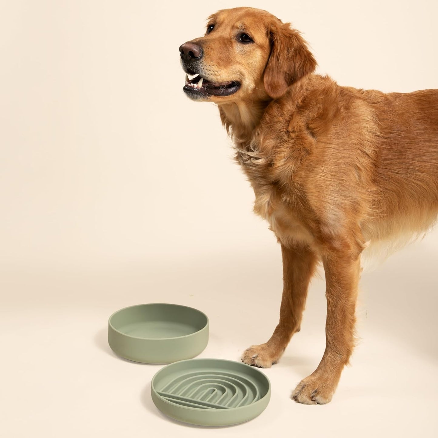 Gamelle anti-fuite pour chien - Silicone de qualité supérieure, anti-fuite, avec ventouse, anti-fuite, gamelles pour chien de taille moyenne, gamelle pour chat (gris charbon, grande gamelle)