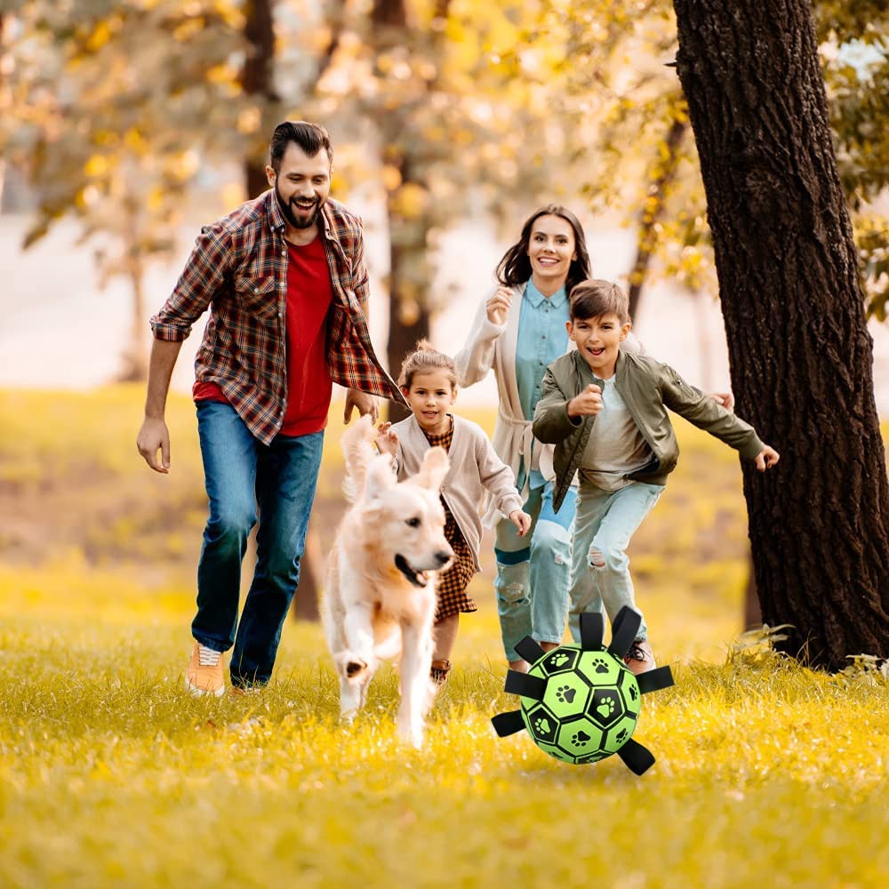 Jouets interactifs pour chiens FITNOVO, jouet à rapporter et à tirer avec sangles, balle d'eau flottante pour petits et moyens chiens, balle de troupeau durable pour le jeu - Vert