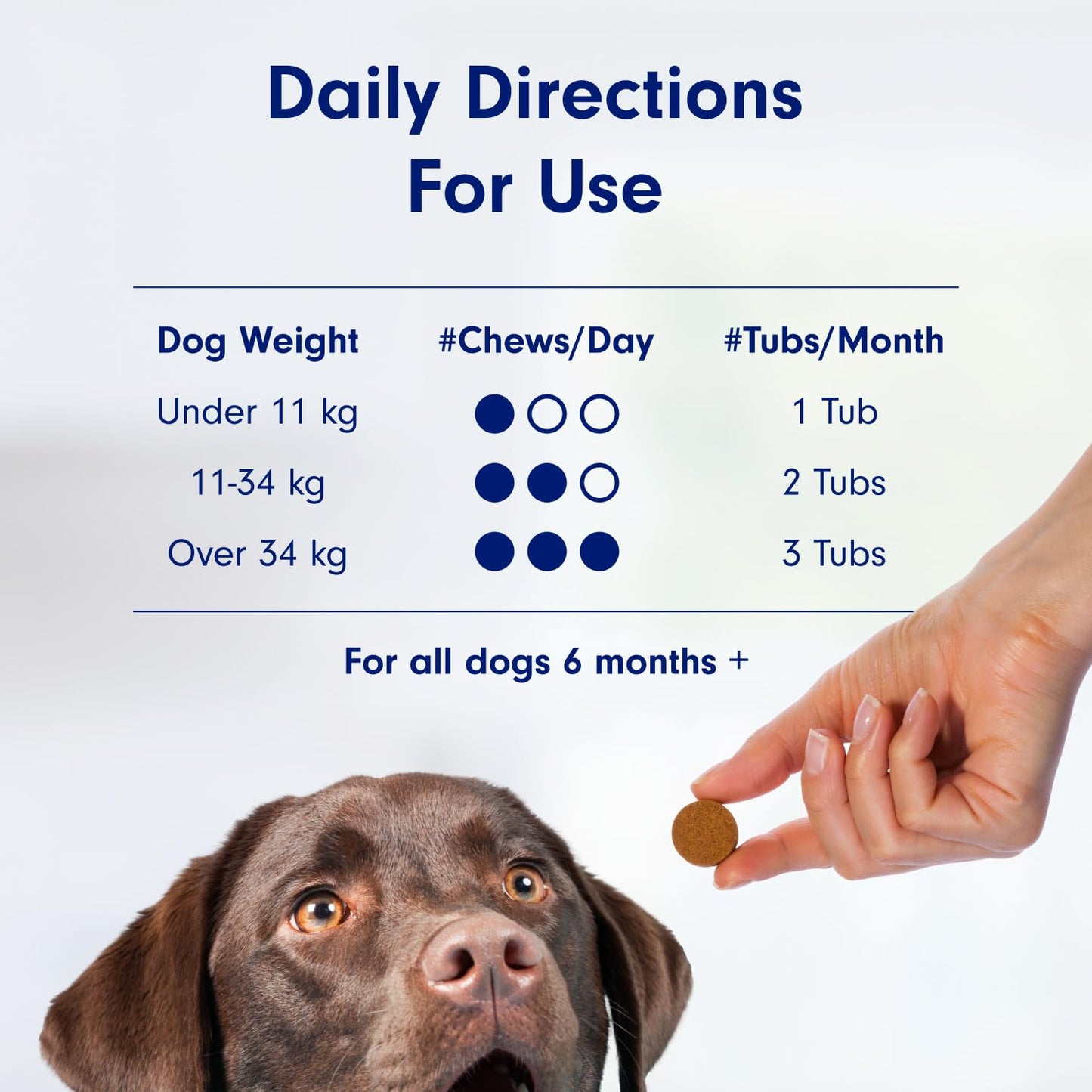 PetLab Co. Probiotics for Dogs - Support Gut Health, Itchy Skin, Seasonal Allergies, and Yeast with Each Tasty Chew - Dog Probiotics - Safe for Small, Medium and Large Dogs - Packaging May Vary