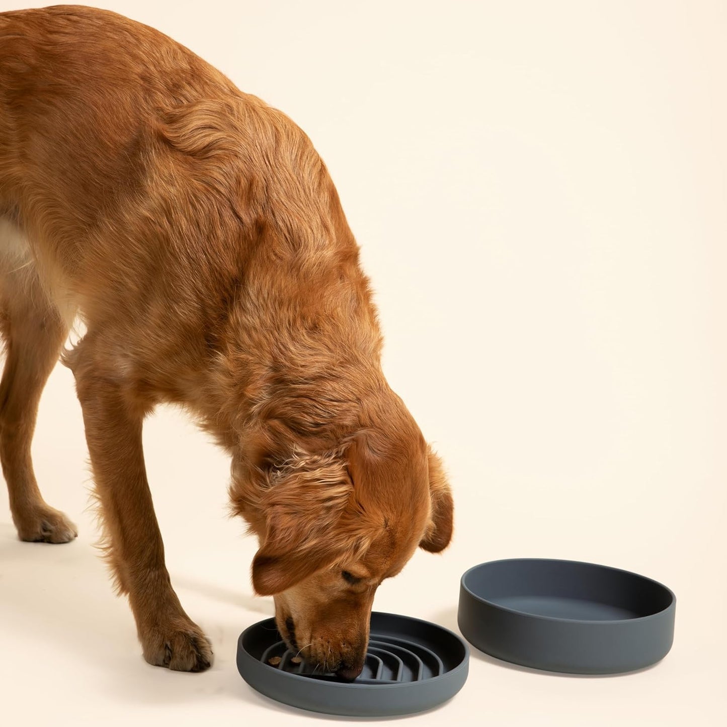 Gamelle anti-fuite pour chien - Silicone de qualité supérieure, anti-fuite, avec ventouse, anti-fuite, gamelles pour chien de taille moyenne, gamelle pour chat (gris charbon, grande gamelle)