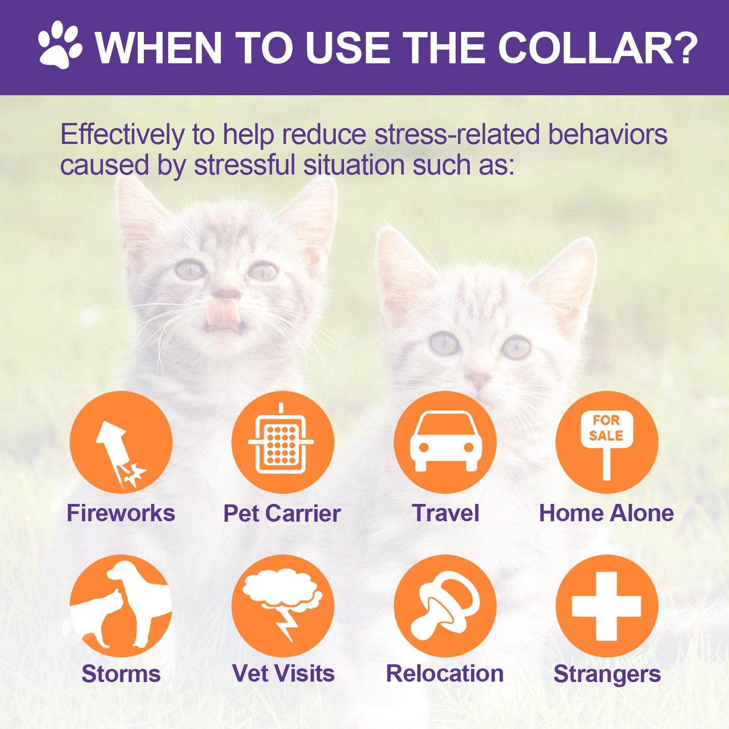 Collier apaisant pour chat, réglable, parfum lavande, avec 2 pendentifs, pour chiots, réduit le stress, l'agression et l'anxiété, jusqu'à 38 cm (violet, doré)