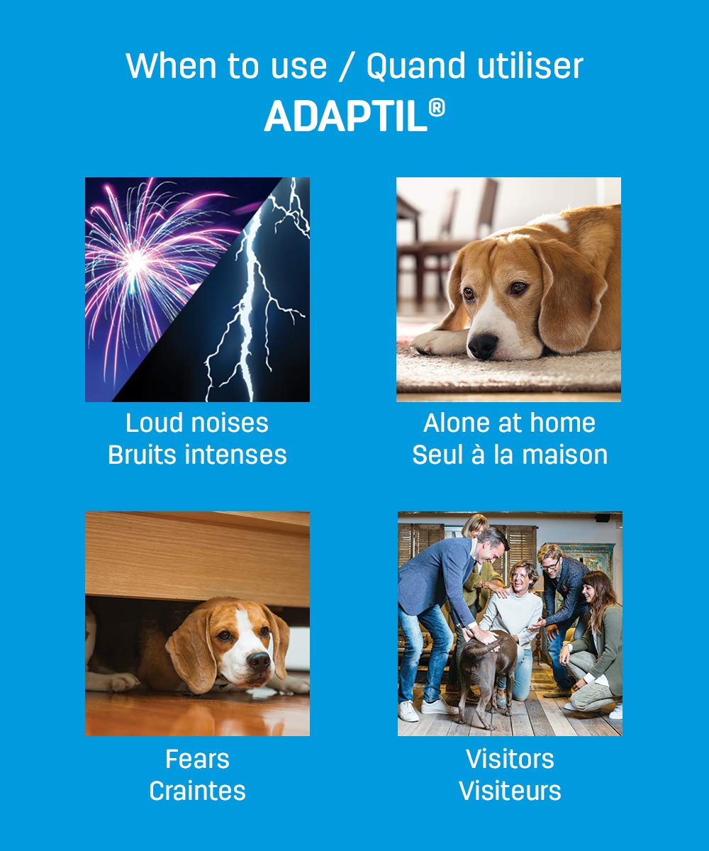 ADAPTIL Refill 3-Pack - Calms & Comforts Dogs at Home, When Home Alone or During Loud Noises & Stressful Events - Use ADAPTIL for Dogs with ADAPTIL Diffusers (90 Day Supply, ADAPTIL Refill C133)
