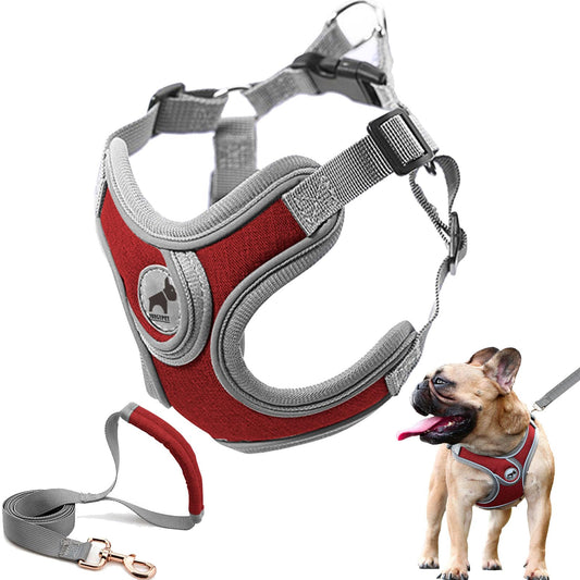 SAEGYPET Dog Harness with Leash Set, No Pull Adjustable Step in with Breathable Padded Puppy Harness for Small Medium Large Dogs Training and Running (Red, M)
