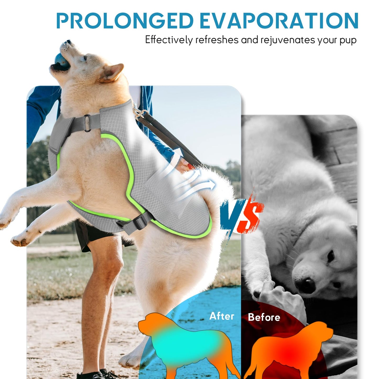 Gilet rafraîchissant Mora Pets pour chien avec packs de glace, veste rafraîchissante par évaporation, harnais d'été réglable avec anneau en D pour chiens de grande, moyenne et petite taille, gris, taille L