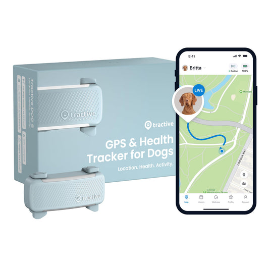 Traceur GPS Tractive pour chien (version 2025) | Localisation en temps réel des animaux | Alertes santé et bien-être | Clôture virtuelle pour chiens | Surveillance des aboiements (menthe)