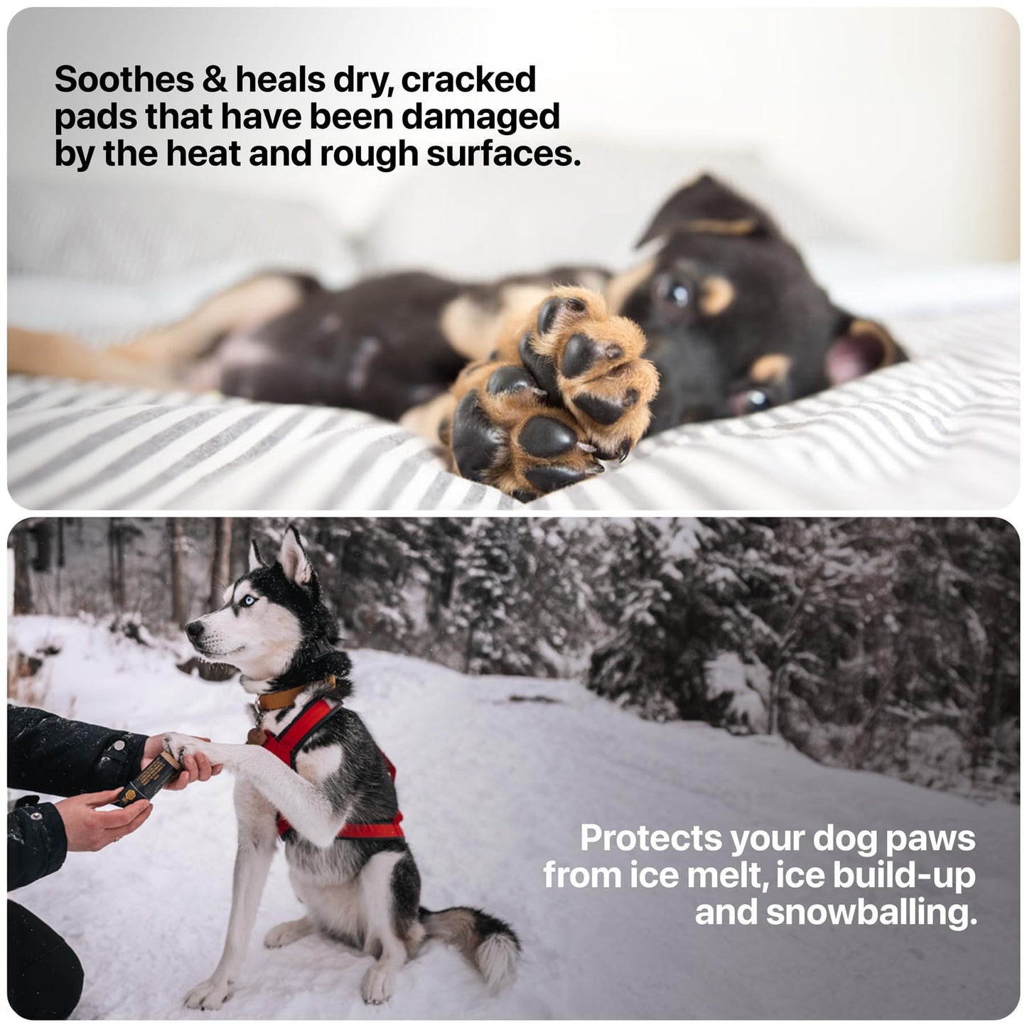 (Entreprise canadienne) Baume pour pattes de chien Säker pour l'hiver | Fabriqué au Canada | Protection des pattes pour chiens approuvée par les vétérinaires pour la neige froide | Baume apaisant pour pattes sèches, crevassées et rugueuses (57 g)