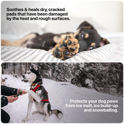 (Entreprise canadienne) Baume pour pattes de chien Säker pour l'hiver | Fabriqué au Canada | Protection des pattes pour chiens approuvée par les vétérinaires pour la neige froide | Baume apaisant pour pattes sèches, crevassées et rugueuses (57 g)