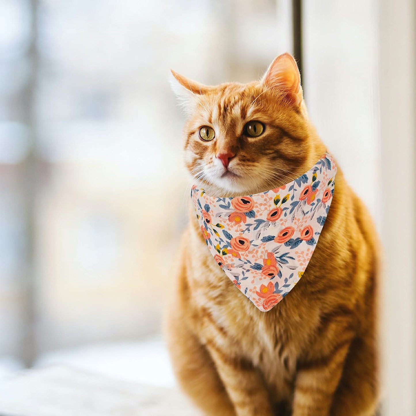 Kettion 2Pcs Breakaway Cat Collar with Bow Tie Bandana, Kitten Collar, Removable Bowtie Bandana, Cute Flower Pattern with Bell for Cat Puppy, Soft Adjustable Collar for Dogs and Cats Pets