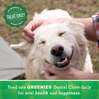 Friandises pour chiens adultes GREENIES Original TEENIE Soins dentaires naturels (130 friandises), paquet de 36 oz