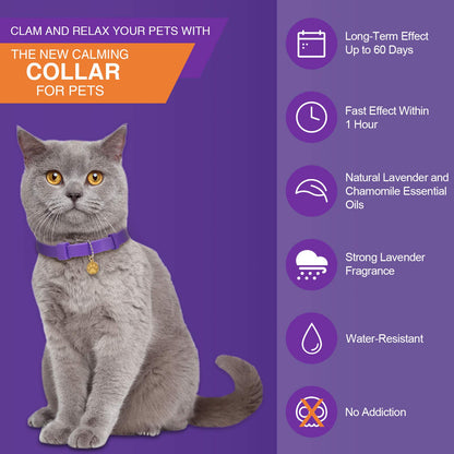 Collier apaisant pour chat, réglable, parfum lavande, avec 2 pendentifs, pour chiots, réduit le stress, l'agression et l'anxiété, jusqu'à 38 cm (violet, doré)