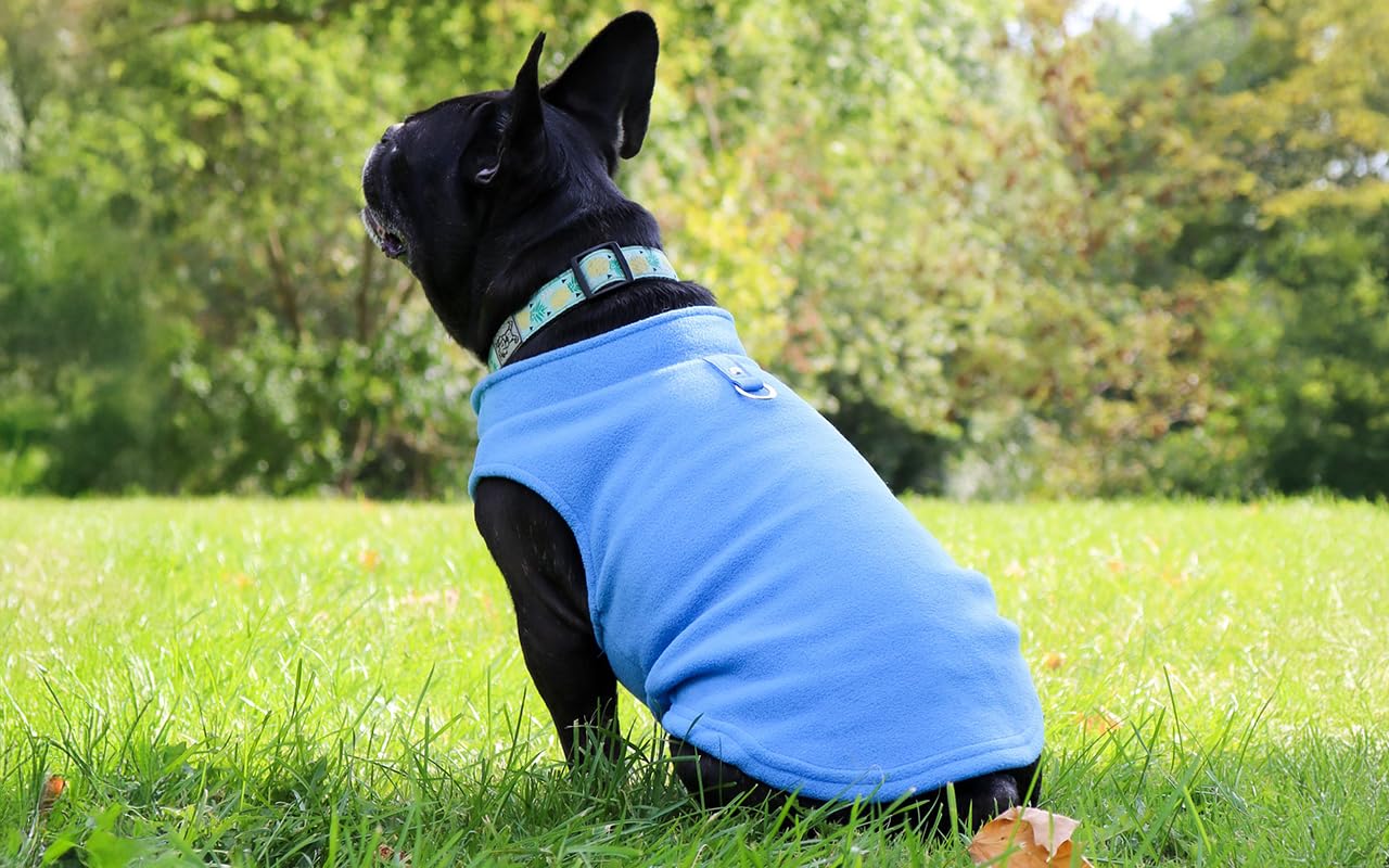 JACKO & CO - Fleece Vest Sweater with Leash Ring - Soft Lightweight Breathable for Puppies Small Medium Dogs, Kitten, Cats, Chihuahua - Warm for Fall/Autumn/Winter (Blue, L (10-16lbs))