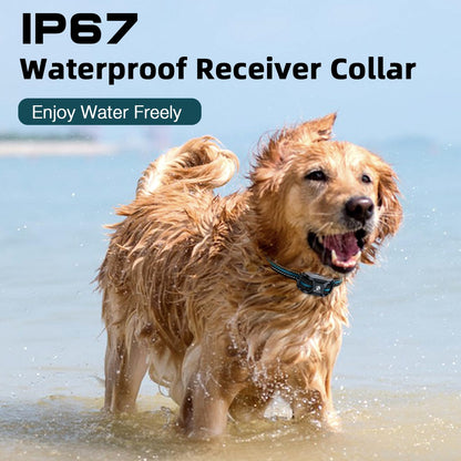 Collier antichoc Bousnic pour chien - Collier de dressage de 1000 m avec télécommande pour chiens de 2,3 à 54 kg (petits, moyens et grands chiens). Rechargeable et étanche, avec bip (1 à 8), vibrations (1 à 16), chocs (1 à 99) (bleu).