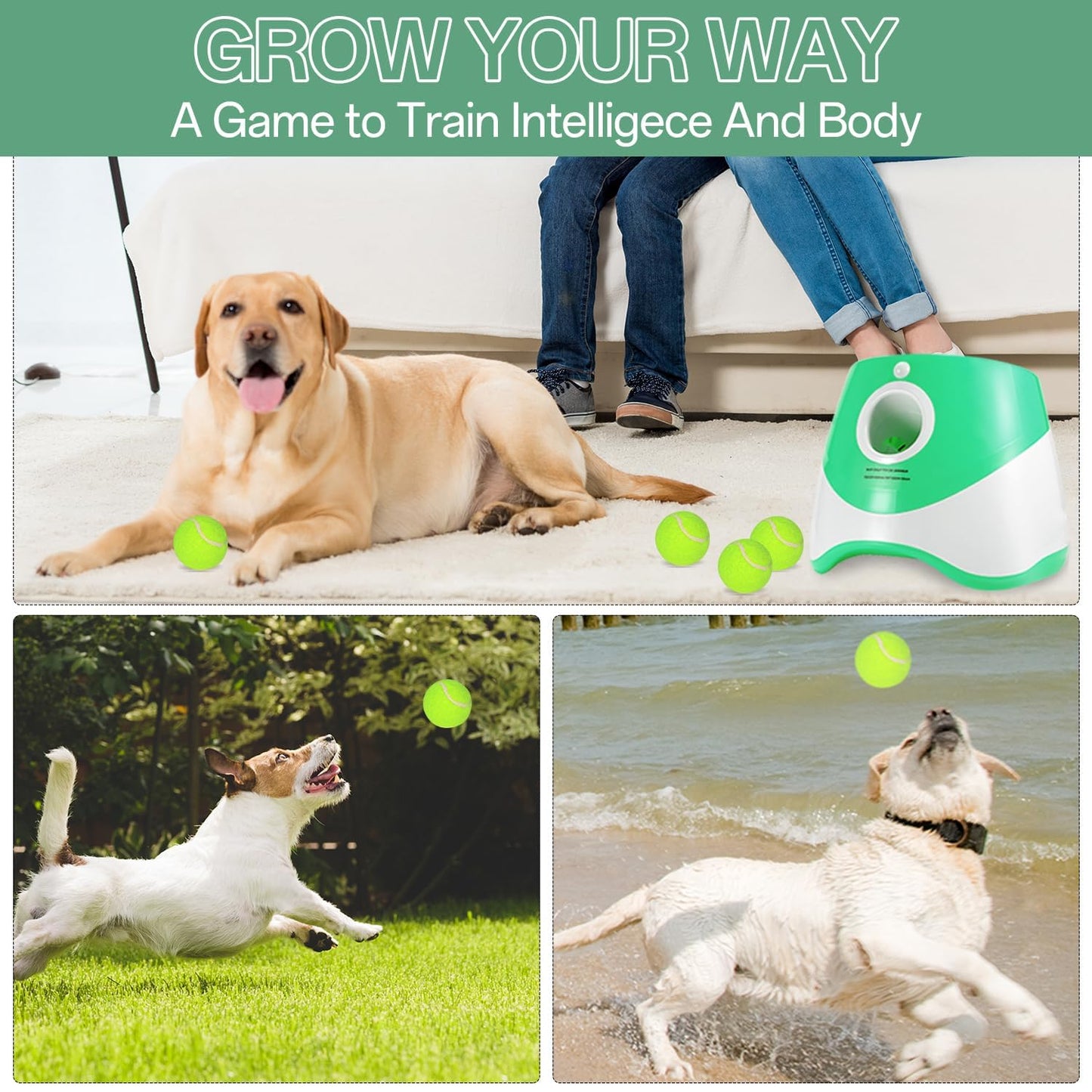 Lanceur de balles pour usage intérieur/extérieur, télécommandé, comprend 12 balles de tennis, lanceur de balles Green Dog