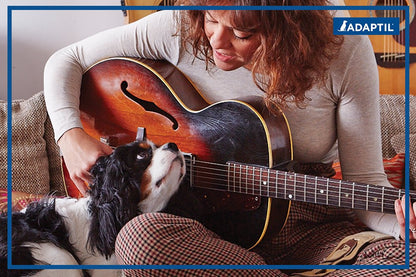 Kit de démarrage ADAPTIL 30 jours - Utilisez ADAPTIL pour chiens pour les aider à se calmer et à se réconforter à la maison, lorsqu'ils sont seuls ou en cas de bruits forts et d'événements stressants (avec diffuseur ADAPTIL LMH19 et recharge ADAPTIL C133)