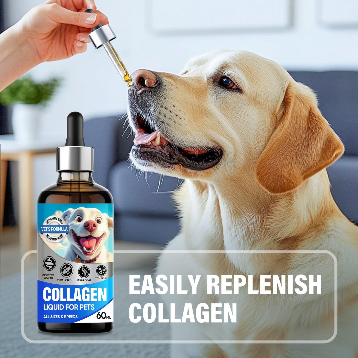 Liquid Collagen for Dogs, Dog Collagen Supplement Drop Support Joint, Digestive Health, Collagen for Dogs Liquid Support Shiny Coat & Healthy Skin, Enhancing Immunity, GMO & Gluten Free