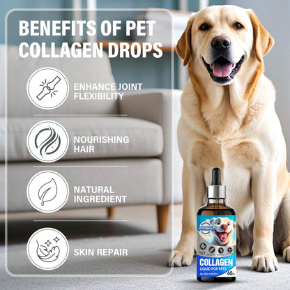 Liquid Collagen for Dogs, Dog Collagen Supplement Drop Support Joint, Digestive Health, Collagen for Dogs Liquid Support Shiny Coat & Healthy Skin, Enhancing Immunity, GMO & Gluten Free