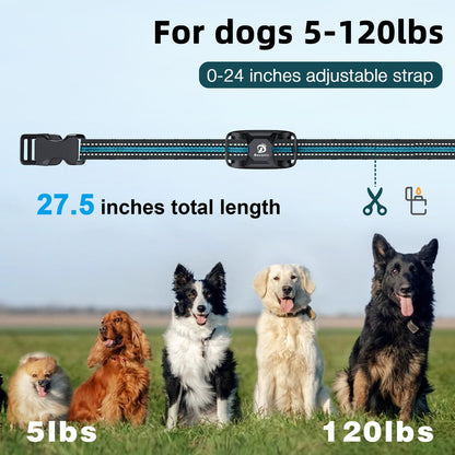 Collier antichoc Bousnic pour chien - Collier de dressage de 1000 m avec télécommande pour chiens de 2,3 à 54 kg (petits, moyens et grands chiens). Rechargeable et étanche, avec bip (1 à 8), vibrations (1 à 16), chocs (1 à 99) (bleu).